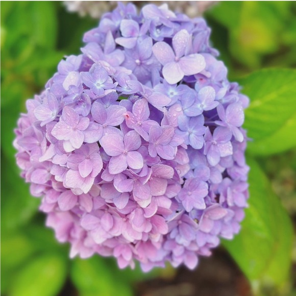 ❤️‍🔥Live Listing❤️‍🔥 March 8th 🛍️ $8 -$15 Starts 👗👚👖CoHost @ScarlettDawnDay - Picture 6 of 14